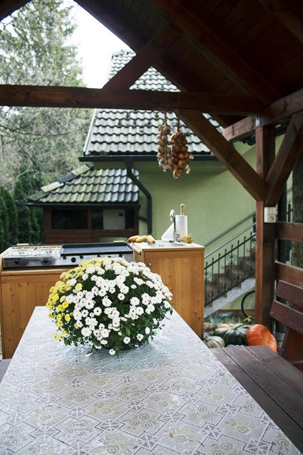 Apartma Pegaz Rogaška Slatina Exterior foto